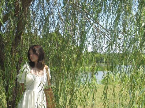 Weeping Willow Photoshoot, Willow Tree Senior Pictures, Willow Tree Photoshoot, Helen Core, Youtube Photoshoot, Sustained Investigation, Senior Photoshoot Poses, Senior Stuff, Tree Photo