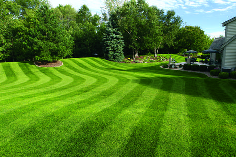 Lawn Striping: How to Mow Ballpark Grass Patterns in Your Yard Reseeding Lawn, Overseeding Lawn, Dethatching Lawn, Lawn Striping, Best Artificial Grass, Lawn Food, Sod Installation, Lawn Care Business, Diy Lawn