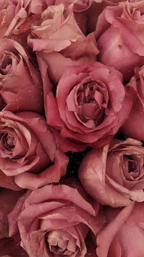 Dusty Rose Aesthetic, Dusty Pink Aesthetic, Rose Gold Aesthetic, Rose Aesthetic, Buddha Art Painting, Rosé Aesthetic, Flower Iphone Wallpaper, Gold Aesthetic, Romantic Roses