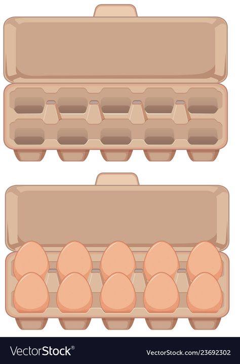 Carton Of Eggs, Egg Illustration, Mathematics Activities, Eggs Image, Egg Vector, Egg Box, Egg Carton, Vector Drawing, Art Tutorials Drawing