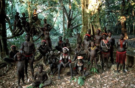 jarawas North Sentinel Island, Andaman Tour, Andaman Islands, Wild Pig, Andaman And Nicobar Islands, Molluscs, Hidden Colors, Indigenous Tribes, Hunter Gatherer