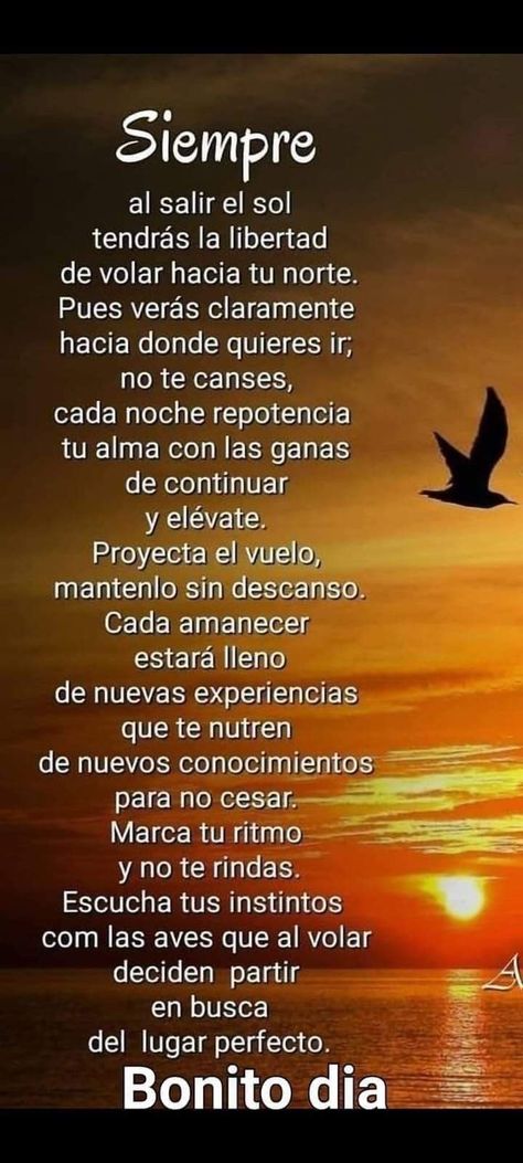 Good Morning In Spanish, Cute Spanish Quotes, Good Morning Inspiration, Spanish Inspirational Quotes, Good Day Quotes, Morning Inspiration, Spanish Quotes, In Spanish, Morning Quotes