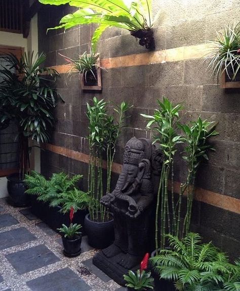 Tropical Courtyard, Bali Garden, Balinese Garden, Buddha Garden, Vertical Vegetable Garden, Meditation Garden, Courtyard Design, Asian Garden, Magic Garden