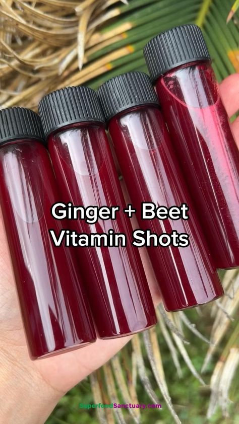 beet ginger shots 😝❤️🫚#diabetesdiet #diabetesresources #diabeteswellness #diabeteseducation Ginger Shot Recipe, Ginger Shots, Healthy Juicer Recipes, Resep Smoothie, Healthy Juice Drinks, Ginger Shot, Wellness Shots, Juicer Recipes, Healthy Drinks Smoothies