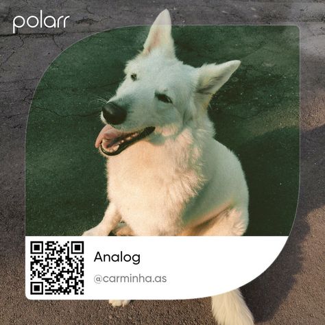 Analog Polarr Code, Qr Filter Polarr, Polaroid Filter Polarr, Analog Filter, Photoshop App, Polar Filter, Best Vsco Filters, Code Polar, Photography Editing Apps