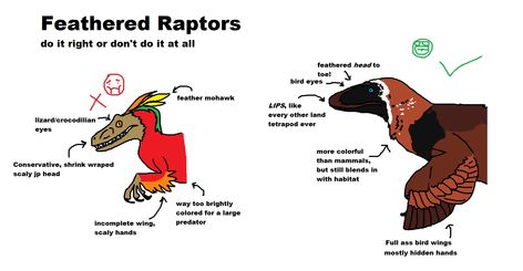 Feathered Raptor Art, Feathered Dinosaurs Art, Scientifically Accurate Dinosaurs, Raptor Anatomy, Feathered Velociraptor, Accurate Dinosaurs, Feathered Raptor, Feathered Dinosaurs, Dinosaur Facts