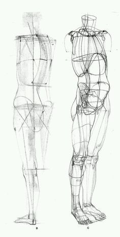 905056c1ac1dad141560467e0a99e1cf Poses Anime, Anatomy Tutorial, Human Anatomy Drawing, Body Sketches, Human Figure Drawing, Human Anatomy Art, Anatomy Sketches, Anatomy For Artists, Figure Sketching