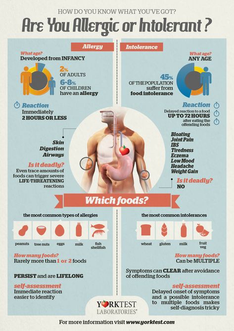 Food Allergies vs Food Intolerance: An Infographic Food Allergy Awareness, Dairy Free Bread, Natural Asthma Remedies, Food Allergies Awareness, Candida Overgrowth, Allergen Free Recipes, Allergy Awareness, Mark Hyman, Cleanse Diet