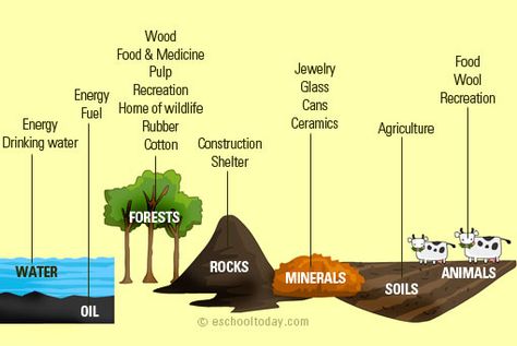 Types Of Natural Resources, Biological Weathering, Physical Weathering, Chemical Weathering, Appropriate Technology, Forest Resources, Nonrenewable Resources, Conservation Of Natural Resources, Forest And Wildlife