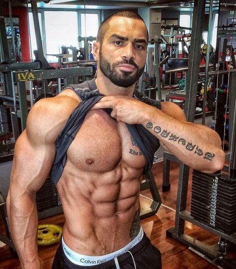 Lazar in the gym Lazar Angelov Workout, Chest Tattoo Design, Lazar Angelov, Best Gym Workout, Abs Workout Gym, Cardio Routine, Best Gym, Muscular Men, Chest Tattoo