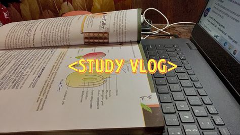 Thumbnail ideas Study Vlog Thumbnail, Vlog Thumbnail Ideas, Vlog Thumbnail, Thumbnail Ideas, Attitude Boy, Study Vlog, Hijab Aesthetic, 12th Grade, Bee Pollen