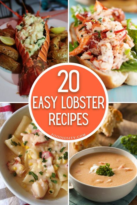 Unlock a treasure trove of culinary delight with our 20 easy lobster recipes! Elevate your dining experience with dishes that effortlessly turn a luxurious ingredient into a simple, yet splendid meal. Click now to dive into a sea of flavors, where easy meets elegant, and discover new favorites that'll enchant your taste buds and impress your guests. #LobsterRecipes Lobster Recipes Easy, Cooking Lobster, Seafood Dish Recipes, Lobster Dishes, Gourmet Appetizers, Seafood Entrees, Delicious Seafood Recipes, Seafood Recipes Healthy, Best Seafood Recipes