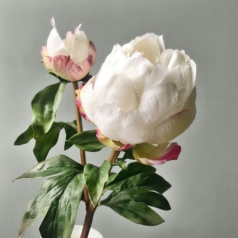 Flowers Indoor, Peony Bud, Silk Peonies, Flower Vase Arrangements, Garden Wedding Decorations, Artificial Hydrangeas, Peony Flowers, Vase Arrangements, White Peonies