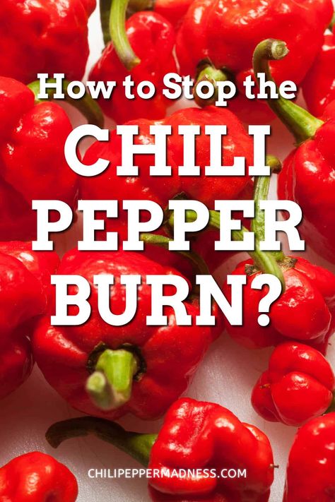 How Do You Stop the Chili Pepper Burn? - Chili Pepper Madness Red Chutney Recipe, Growing Chili Peppers, Red Chutney, Burn Remedy, Hot Pepper Recipes, Carolina Reaper Pepper, How To Make Chili, Happiness Tips, Pepper Recipes