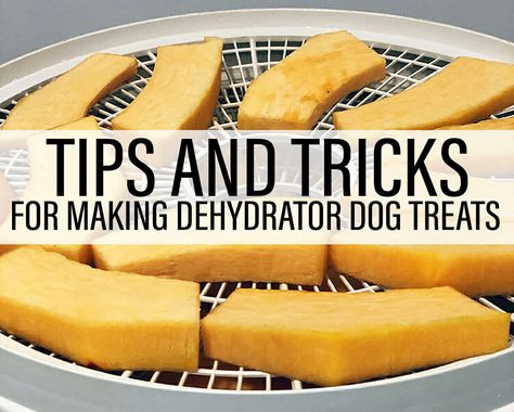 Are you new to making dehydrator dog treats? Learn all you need to know with our simple guide & start making your dog treats with confidence. Find out what tools we use, how to make treats safely, and all of our tips and tricks for creating homemade treats your dog will love. Dehydrated Dog Treats Recipes, Long Lasting Dog Treats Homemade, Dehydrator Dog Treats, Dehydrated Banana Chips, Dehydrated Dog Treats, Dog Popsicles, Pup Treats, Treat Business, Pet Treats Recipes