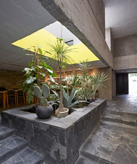 Pedro Reyes teams rough concrete with crazy paving for Mexico City home Eco Brutalism, Pedro Reyes, Mexican House, Houses In Mexico, Concrete Staircase, Crazy Paving, Concrete Houses, Concrete Home, Concrete Texture