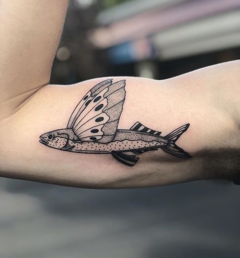 Did this super cool flying fish for Andrew’s first tattoo today. Thanks again man! #pdxtattoo #pdxart #portlandtattoo #portlandart… Fish Tattoos For Men, Flying Fish Tattoo, Flying Fish Art, Tattoo Dream, Portland Tattoo, Tattoo Old School, Elbow Tattoos, Flying Fish, Fish Tattoo