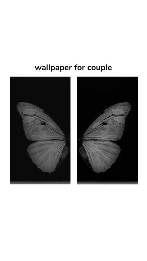 Matching Butterfly Pfp, Couple Wallpaper Matching Cute Couple Wallpaper Matching, Maching Walpappers For Two, Matching Butterfly Wallpaper, 3 Person Wallpaper Matching, Best Friends Matching Wallpaper, Phone Backgrounds Hello Kitty, Wallpaper Matching Lock And Home Screen, Matching Wallpaper Bff Aesthetic