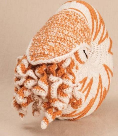 crochet nautilus Shell Crochet, Crochet Sea Creatures, Crochet Mermaid Tail, Weaving Inspiration, Crochet Fish, Crochet Mermaid, Crochet Octopus, Form Crochet, Crochet Goodies