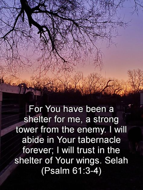 Psalms 61, Scripture Posters, Strong Tower, Psalm 61, Prayer Life, Worship God, He Loves Me, Let God, Inspirational Bible Verses