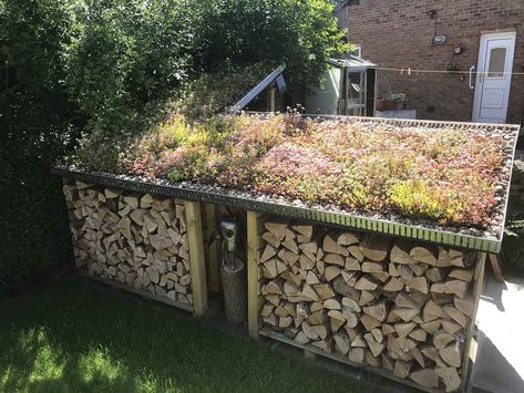 Green Roof Benefits, Green Roof Planting, Eco Roof, Roof Plants, Log Shed, Sedum Roof, Green Roof System, Hay Barn, Log Store