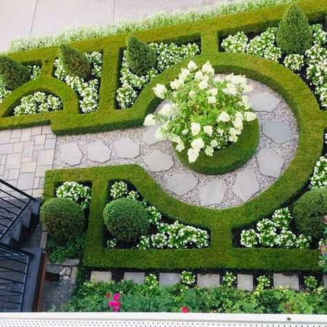 Japanese Inspired Garden, Front Yard Ideas, Formal Garden Design, Parterre Garden, Boxwood Garden, Formal Garden, Fine Gardening, Italian Garden, Healthy Garden