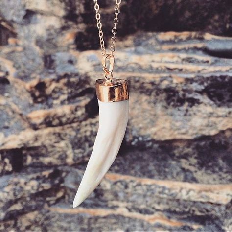 Wolf Tooth Necklace, Loki Wallpaper, Wolf Tooth, Link Jewelry, Wolf Teeth, S Necklace, Tooth Necklace, Gold Caps, Symbolic Jewelry