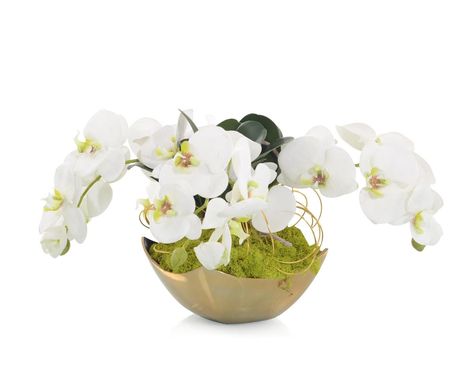 JRB-4765 | 11"H X 19"W X 16"D Fallen Orchids Orchid Plant Care, Orchid Centerpieces, Reindeer Moss, Artificial Orchids, Best Indoor Plants, John Richard, Plant Decor Indoor, Phalaenopsis Orchid, Metal Vase