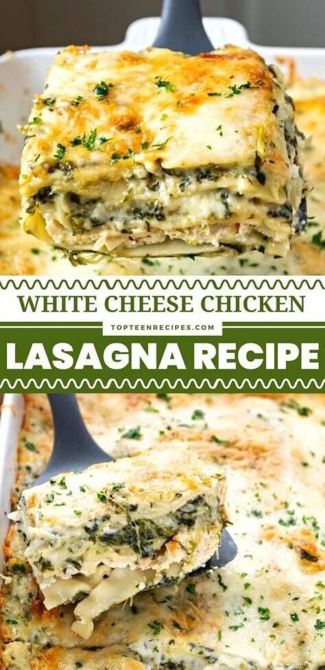 White Cheese Chicken Lasagna Recipe - Top Recipes Chicken Lasagna Recipe Healthy, Lasagna Variations, Lasagna Recipe Chicken, White Chicken Lasagna Recipe, Turkey Lasagna Recipe, Lasagna With White Sauce, White Lasagna Recipe, White Sauce Lasagna, White Cheese Sauce