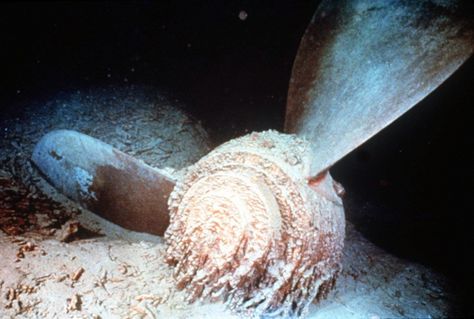 The-giant-propeller-of-the-sunken-Titanic-lies-on-the-floor-of-the-North-Atlantic-in-this-undated-photo.-The-propeller-and-other-portions-of-the-famed-ship-were-viewed-by-the-first-tourists-to-visit-the-wreck-site-in-September-1998 Titanic Pictures, Original Titanic, Ancient Mystery, Titanic Underwater, Titanic 2, Real Titanic, Sunken Ships, Titanic Wreck, Titanic Photos