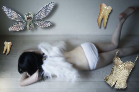 Tooth Fairy, 11 11, Holidays