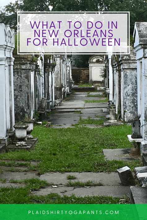 Looking to experience Halloween in New Orleans? There's so many amazing spooky and festive things to do - here are 31+ spooky choices! halloween in New Orleans | halloween travel | halloween inspiration | haunted house new orleans | Halloween in Louisiana | Spooky New Orleans | New Orleans for Halloween Haunted New Orleans, Spooky New Orleans, Halloween In New Orleans, New Orleans Witch, Voodoo Shop, New Orleans Halloween, Hotel Monteleone, Nouvelle Orleans, Halloween Travel