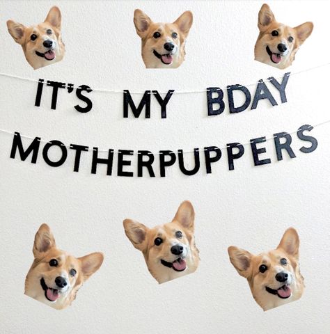 Image courtesy of PanPatten Corgi Face, Dog First Birthday, Its My Bday, Puppy Birthday Parties, Psy I Szczenięta, My Bday, Puppy Birthday, Dog Birthday Party, Dog Party