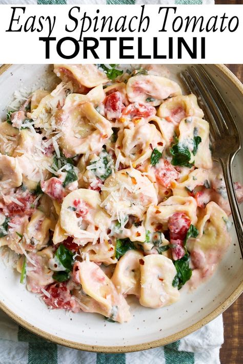 Creamy Spinach Tomato Tortellini - seriously easy, delicious flavor and perfectly comforting dinner any day of the year! #pasta #tortellini #easydinner #recipe Tomato Spinach Cream Sauce, Creamy Spinach Tomato Tortellini, Spinach Tomato Tortellini, Spinach Cream Sauce, Cheese Tortellini Recipes, Tomato Tortellini, Salad Appetizer Cups, Spinach Sauce, Spinach Tortellini