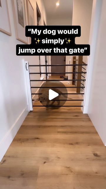 Rachel Hoch on Instagram: "So many people have commented that their dog would just jump over these pocket gates… 

I guess my dogs aren’t very athletic 💀😂

We added these as an alternative to traditional baby gates and have LOVED them. They slide back into the wall and out of sight when not in use. 

One of my favorite home hacks! 

✨Comment for details!✨

#home #homehacks #homebuild #homedesign #newconstruction #newbuild #homebuild #homeinspo #pocketdoor #pocketgate #hiddendoor #dog #goldenretriever #goldenretrieverpuppy #puppy" Baby Gates, Dog Gate, Hidden Door, Laundry Mud Room, So Many People, Pocket Doors, Many People, Home Hacks, New Builds