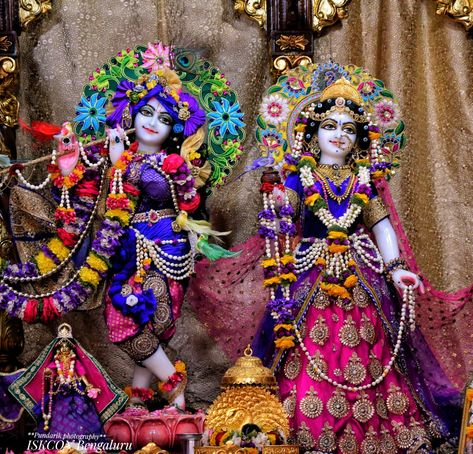 Iskcon Bengaluru, Sri Sri, Radha Krishna Images, Radha Krishna Art, Shree Krishna, Krishna Images, Hare Krishna, Krishna Art, Lord Krishna