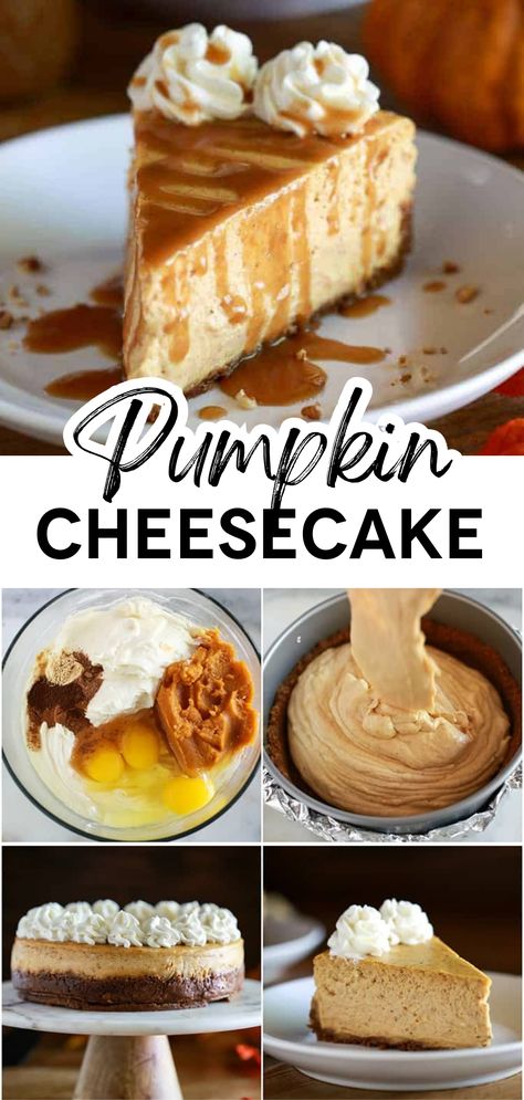 Homemade Pumpkin Cheesecake From Scratch, Pumpkin Sopapilla Cheesecake, Deli Desserts, Best Pumpkin Cheesecake Recipe, Best Pumpkin Cheesecake, Easy Pumpkin Cheesecake, Fresh Pumpkin Recipes, Halloween Cheesecake, Healthy Pumpkin Dessert