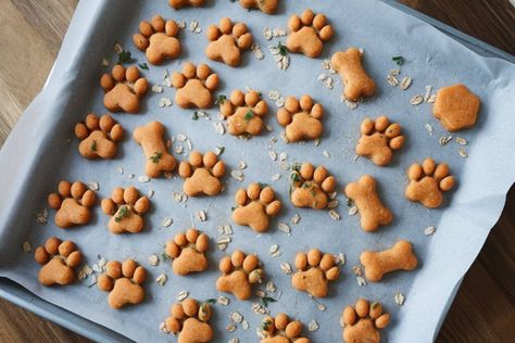 Easy Dog Treat Recipes, Carrot Cookies, Easy Dog Treats, Healthy Dog Treats Homemade, Dog Treats Homemade, Pumpkin Treat, Dog Food Storage, Smart Dog, Treat Jars