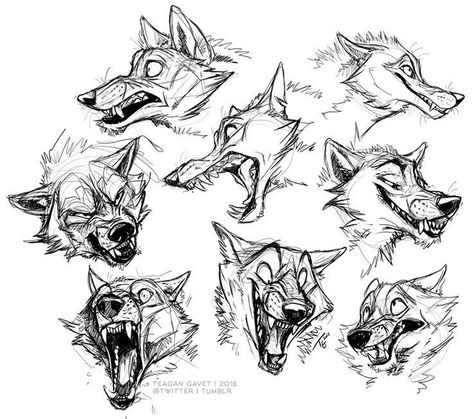 Wolf Face Drawing, Wolf Character, Wolf Face, Wolf Pup, Wolf Drawing, Canine Art, 캐릭터 드로잉, Animal Sketches, Wolf Art