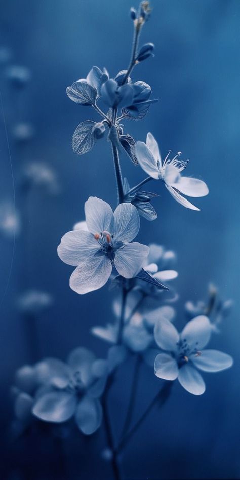 Credit @HanzoAiArt Animated Photos, Blue Flower Wallpaper, Abstract Art Images, Art Mobile, Best Nature Wallpapers, Spring Red, Dreamy Artwork, Apple Art, Blue And Purple Flowers