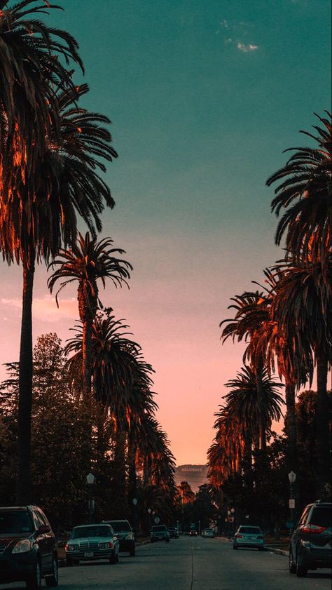 La Summer, Summer Sunset, Palm Springs, San Diego, Springs, Angeles, Wallpapers, Los Angeles