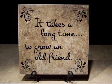 quotes old friendships rekindled | It takes a long time . . . to grow an old friend. (Version #2) Rekindling Friendship Quotes, Rekindled Love Quotes, Old Friendship Quotes, Unexpected Friendship Quotes, Power Couple Quotes, Old Friend Quotes, Cute Best Friend Quotes, Quotes Distance, Unexpected Friendship