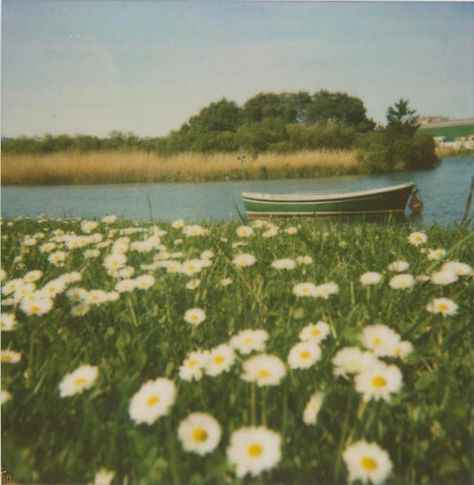 Terrence Loves You, Summer Vintage, Film Aesthetic, Nature Aesthetic, Pretty Places, Aesthetic Photo, Pretty Pictures, Film Photography, Aesthetic Pictures