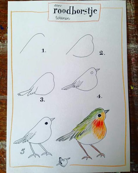 Draw a lovely little bird. Trin For Trin Tegning, Ako Kresliť, Draw A Bird, Bird Sketch, Watercolor Art Lessons, Bird Drawings, Drawing Lessons, Watercolor Bird, Drawing Tips