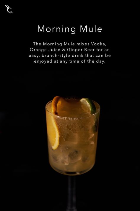 The Morning Mule mixes Vodka, Orange Juice & Ginger Beer for an easy, brunch-style drink that can be enjoyed at any time of the day. Thanksgiving Mule, Mule Recipe Vodka, Spicy Mule Cocktail, Ginger Moscow Mule Recipe, Ginger Mule Cocktail, Whiskey Mule Recipe Ginger Beer, Mule Cocktail, Breakfast Choices, Brunch Fashion