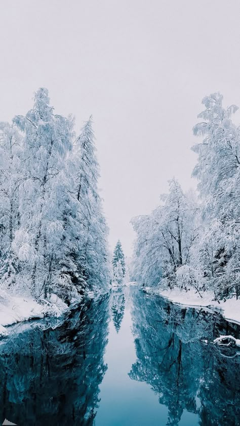 Snowy Landscape Photography, Snow Aesthetic Wallpaper, Ice Swimming, Winter Wallpapers, Amoled Wallpapers, Winter Nature, Winter Wallpaper, Winter Scenery, Winter Vibes