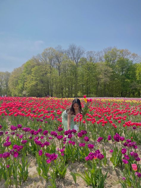 tulips season spring outfit style farm aesthetic style #pinterestinspired #springoutfit #2023 #tulips Tulips Field, Aesthetic Tulips, Pinterest Girl Aesthetic, Farm Aesthetic, Garden Picture, Tulip Season, Tulip Fields, Spring Photos, Garden Pictures