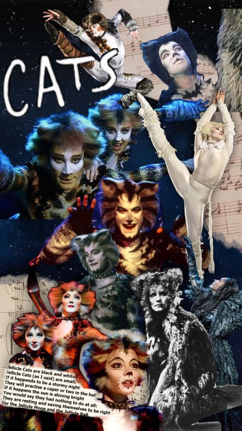 Cats The Musical 1998, Cats Broadway, Broadway Aesthetic, Cats The Musical, Musical Wallpaper, Jellicle Cats, Wallpaper Cats, Cats Musical, Stormy Night