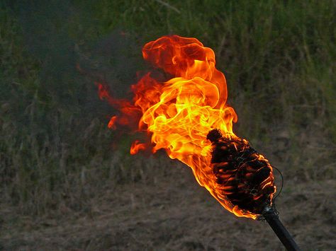 Fire Torches are a must. Zombies hate fire and batteries won't last forever Fire Torch, Tiki Torches, Zombie Survival, Skylanders, Beltane, Camp Half Blood, Greek Mythology, Zombie, Concept Art