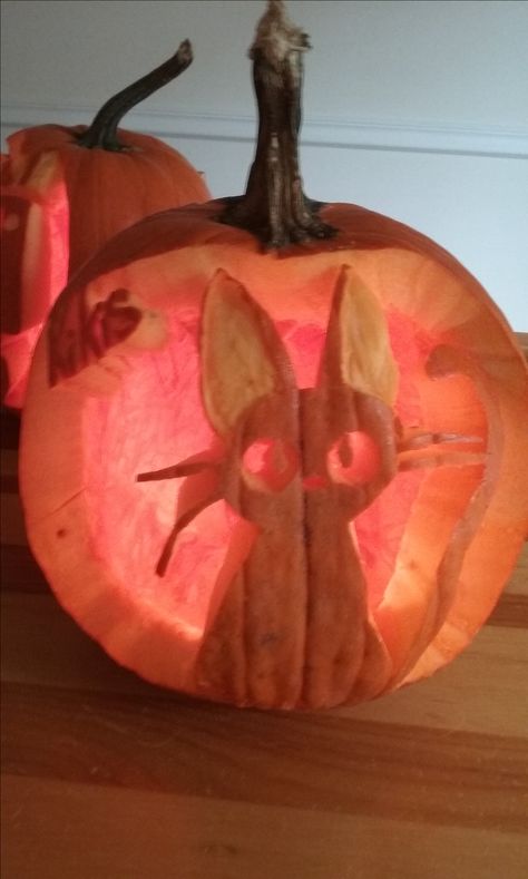 Kiki's Delivery Service Pumpkin Carving, Ghibli Pumpkin Carving Ideas, Jiji Pumpkin Carving, Kiki's Delivery Service Pumpkin, Pumpkin Carving Ideas Studio Ghibli, Studio Ghibli Pumpkin Carving, Studio Ghibli Pumpkin, Ghibli Pumpkin, Anime Pumpkin Carving